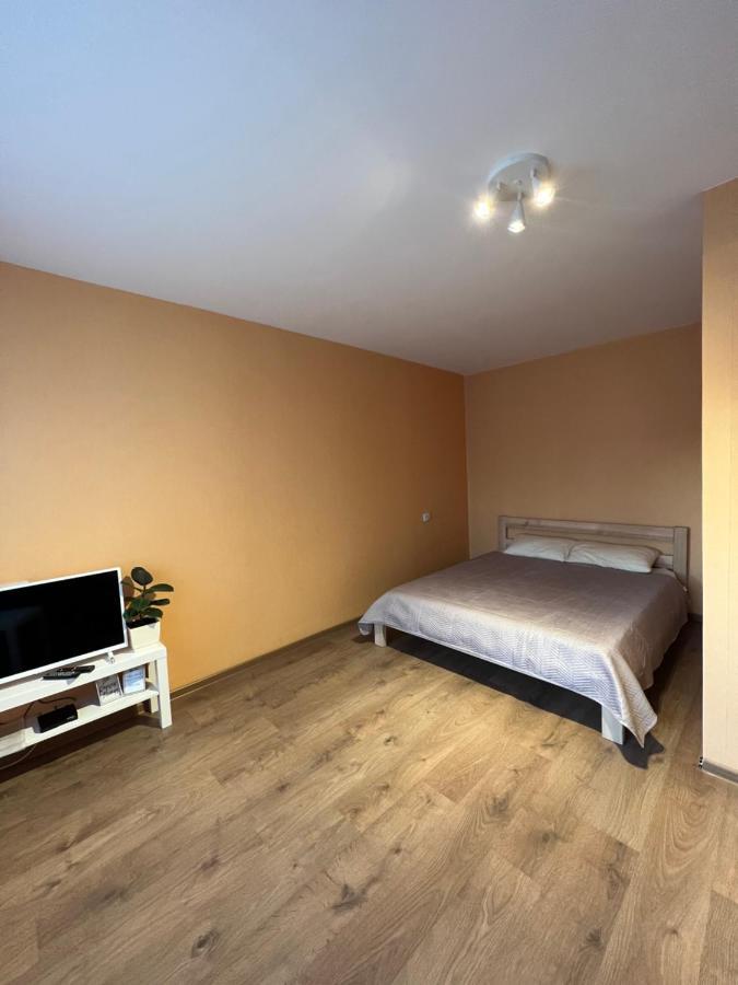 Birch View Apartment Jelgava Eksteriør billede